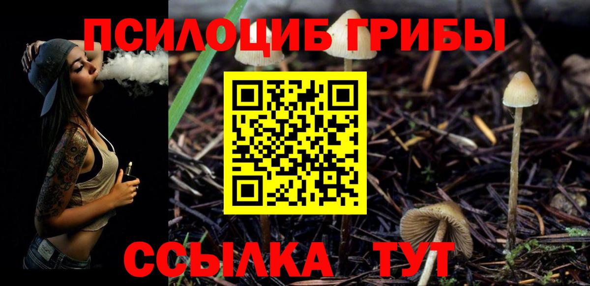 Псилоцибиновые грибы ЛСД Гуково