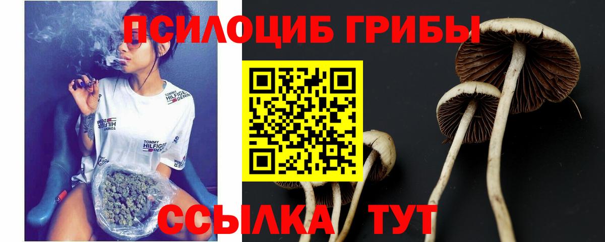 Гуково  Псилоцибиновые грибы GOLDEN TEACHER  Вход с VPN 